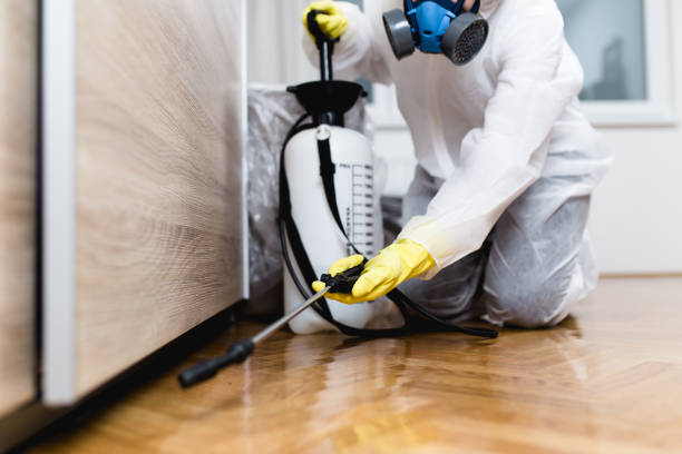 Best Pest Control Near Me  in Crest View Heights, NY