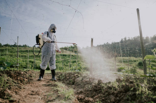 Best Local Pest Control Services  in Crest View Heights, NY
