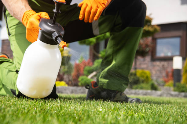 Best Pest Removal Services  in Crest View Heights, NY