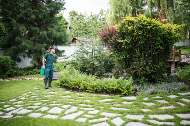 Best Affordable Pest Control Services  in Crest View Heights, NY