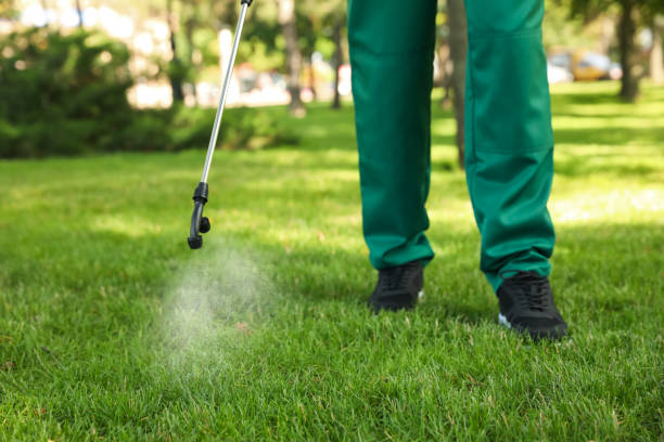 Pest Control for Restaurants in Crest View Heights, NY