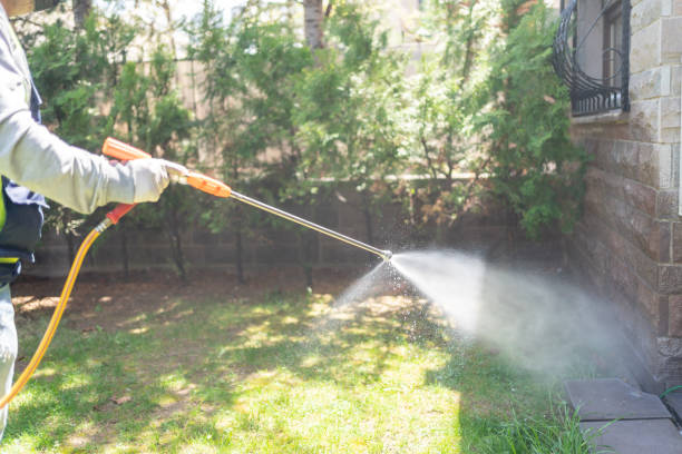 Best Wasp Removal Services  in Crest View Heights, NY