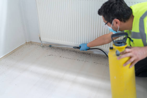 Best Residential Pest Control  in Crest View Heights, NY