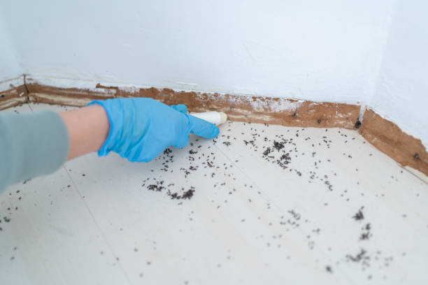 Pest Prevention Services in Crest View Heights, NY