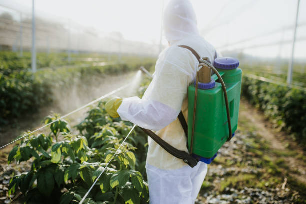 Best Flea Control Services  in Crest View Heights, NY